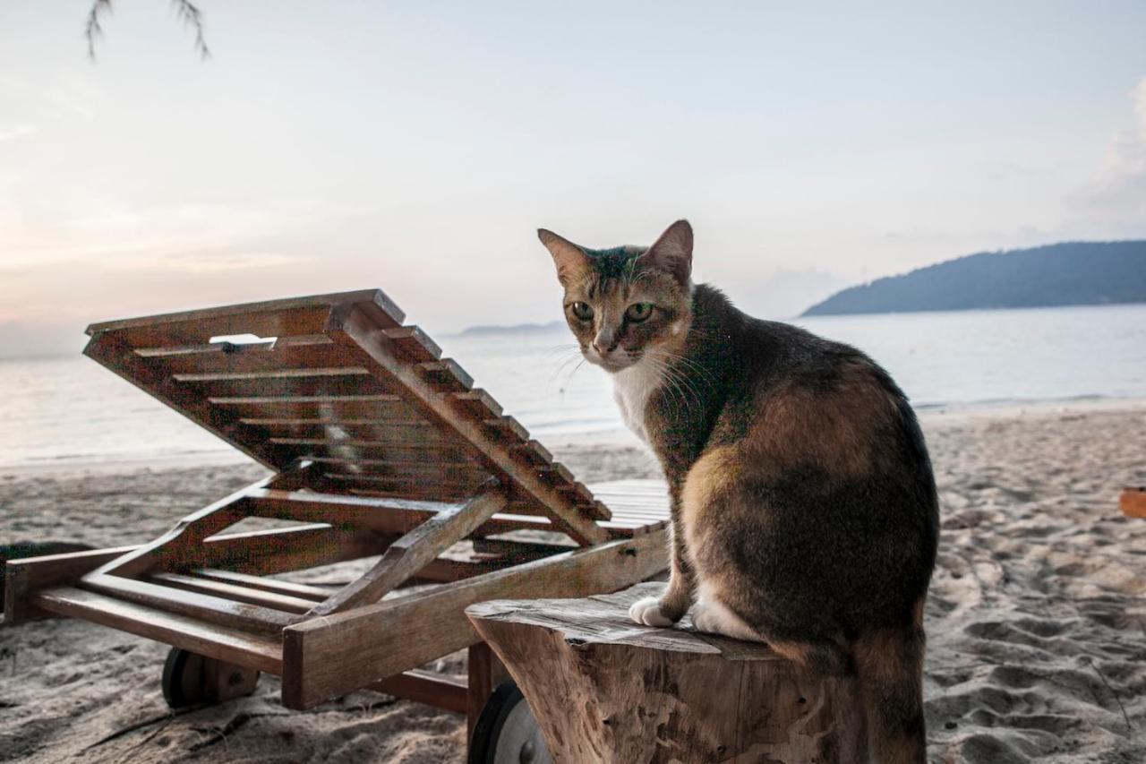 Swiss Cottage Tioman Kampong Ayer Batang Екстериор снимка